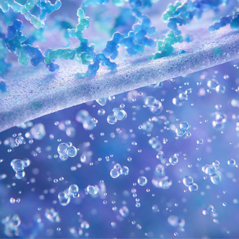 s-blob-v1-IMAGE-CRQ22Px4bYw