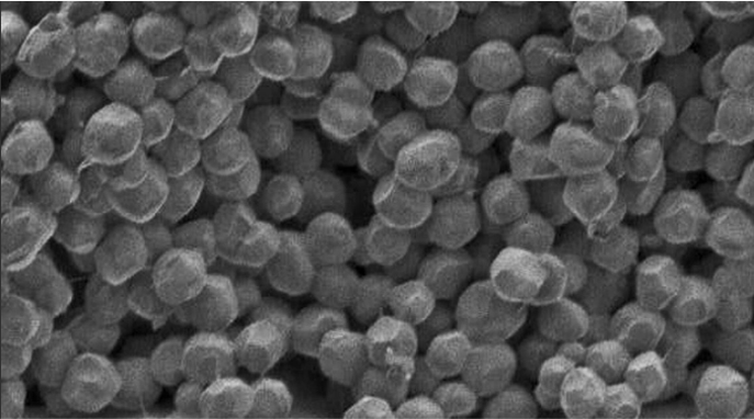 阿泰細陶瓷膜生產中不含陶瓷粘合劑或其他添加劑，因此脫穎而出。